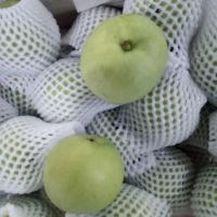Hot Selling Good Quality South African Pear, Professional Supplier for Fresh Emerald Pear with Crisp Taste
