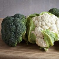 New crop fresh white cauliflower with cheap price hot sale, organic fresh cauliflower exporter