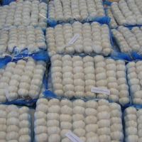 Export fresh fruit and vegetable South Africa High Quality Wholesale new crop Fresh Pure/ white garlic in bulk