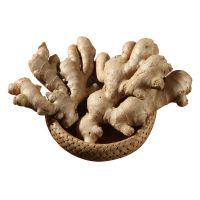 Fresh dried ginger price per kg dry ginger South African adrak low price new crop high quality ginger fresh for wholesale