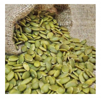 Pumpkin seeds price hot sale - White dried pumpkin kernel extract from 100% fresh pumpkin in 99 Gold Data