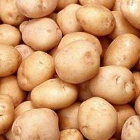 High-quality Potatoes, Potatoes Senta, High-quality Potatoes Senta from South Africa