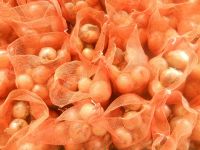 2021 new crop South Africa fresh yellow onion and red onion market price is lowest