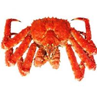 2021 King Crab Low-Priced Wholesale Frozen and Cooked Top Quality A Grade Seafood Frozen Crab Chilean King Whole Crab