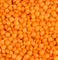Fresh Red Lentil for Europe Bulk Style Packing Packaging Color Weight Shelf Origin Type Life Dried