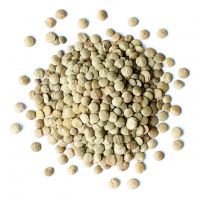 Green Lentils Grade A Top Quality Green Lentils In Bulk Lentils Manufacturers South Africa