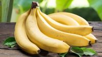 Premium, high quality, clean farming, VietGap, attractive price Pisang Awak Banana fresh fruit from South Africa