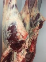 Frozen Lamb Meat,Mutton,Goat,Veal,Beef,Venison and Carcass On Sales with Competitive Prices.