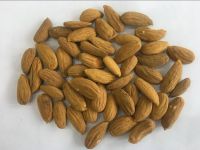 Cheap raw almond in shell nuts Organic badam almond nuts Wholesale bulk badam nut