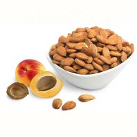 Halal Certificate Apricot Kernel South Africa Speciality Sweet Apricot Kernels For Mix Nuts And Beverage Wholesale