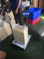 BB/SP/LP/W450/W320/W240/W210/W180 South Africa cashew nuts for bakery and food industry