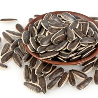 Bakery Grade Sunflower Kernels New Crop Peeled Sunflower Seeds Wholesale Packaging Bulgarian Origin Healty Food