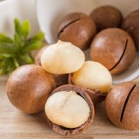 Unsalted Maccadamia Nuts 200g Style Packaging Raw Origin Natural Nutrition LAFOOCO