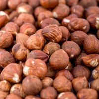 Blanched Hazelnuts/ Hazelnuts Inshell & Kernels/ Organic Hazel Nuts