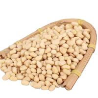 Raw processing type wholesale Pine nut kernels Packed Cedar Nuts