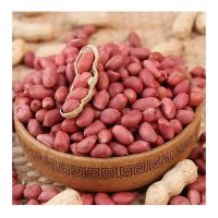 Hot selling natural peanut kernels peanuts seeds without shell from South Africa with competitive price for export