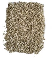 Good price High quality Professional manufacturer supply Yellow/white/red/ Sorghum From South Africa 
