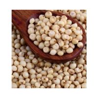 Food Grade Quality Agricultutal Product Bulk High Nutrition Natural Grains Raw South Africa Red White Sorghum For Sale