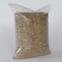 Rye - Organic Whole Rye Grain Berries - Wholesale Russian Rye Agricultural Crop