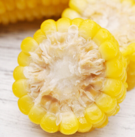 Manufacture factory frozen corn OEM corn popular product yellow sweet corn for sale