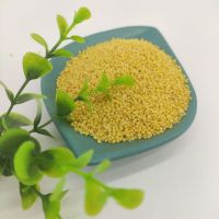 High Quality New Crop Factory Price of Glutinous Foxtail Millet Yellow Millet