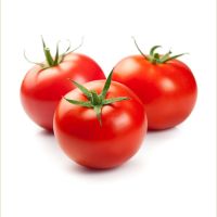 WHOLESALE FRESH ORGANIC TOMATO HIGH QUALITY - EXPORTING STANDARD WITH COMPETITIVE PRICE FROM SOUTH AFRICA 