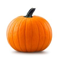 100% Export Oriented Best Quality Fresh Sweet Pumpkin Available in Bulk