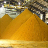 Yellow Corn/Maize for Humans and animal Feed / YELLOW CORN FOR POULTRY FEED