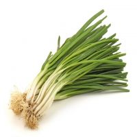 Best-selling fresh scallions mildly spicy and delicious spring onions