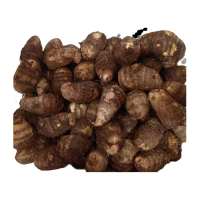 Best Selling 100% Pure Natural Root Extract Powder Quality Coco Yams Wholesale Taro Fresh Cocoyam's For Sale