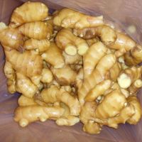 high quality buyer of wholesale organic fresh dry or dried ginger from South African exporter