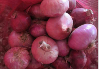 Fresh Organic Red Onion organic lowest natural price