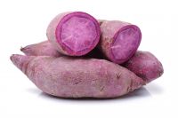 FRESH PURPLE POTATOES purple Inside BEST SELLER Cheap price For Wholesale POTATOES Newest Crop