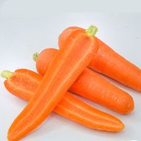 Manufacturers Provide Good Price Non-peeled Carrots Fresh Carrots For Sale