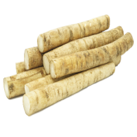 Fresh Burdock For Sale / Extract burdock / High Quality Pure Natural Burdock Root
