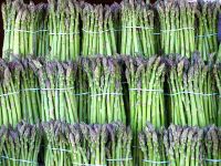 Quality Fresh Green Asparagus for sale/Fresh IQF Frozen Green Asparagus/Green Asparagus in bulk