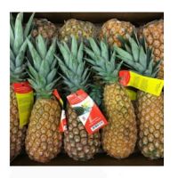Supply With The Most Popular Wholesale Exporter Hot Sale High Quality Good Price PINEAPPLE FRESH From South Africa 