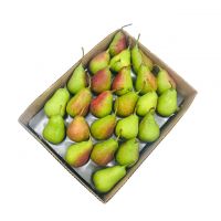 New Season Fresh And Sweet South African Super Gong Pear For Wholesale Celina Pears Factory Supply Celina Pears