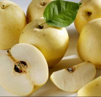 2021 new season fresh and sweet  super gong pear for wholesale