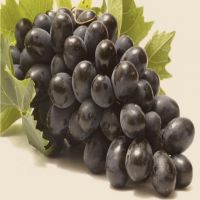 Fresh Grapes Black and Green Seedless Grape Normal Temperature South Africa a Grade 10g 3 Cm 8kg /9kg Foam Box 10 Kg from ZA