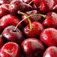 Quality Fresh Dark Red Cherries / Fresh Cherries Fruits for Sale