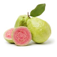 BEST SUPPLIED HIGH QUALITY 100% FRESH PINK GUAVA/ GUAVA FRUIT for exporting