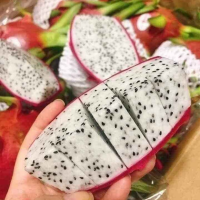 100% Fresh Super Delicious Taste Premium Quality Dragon Fruit Whole Fruit Export From South Africa 