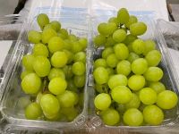 Fresh Grapes Superior seedless green, Crimson Thompson Flame Red globe grapes growers exporters Cheap fresh grapes