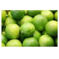 High Quality Based High Quality Non-GMO LIME Wholesale Fresh Citrus Fruits Ready to Ship Based in  South Africa 