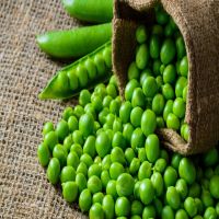 Best Quality whole yellow Peas / Green Peas/ Whole Pigeon Peas