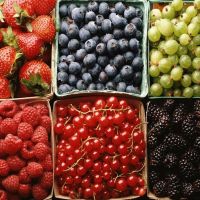 Quality Fresh Strawberry, Frozen Strawberry ,blue Berries Fresh Berries Fruits