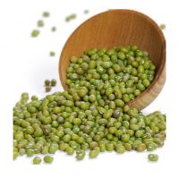 Best Quality Vigna Radiata Green Mung Beans for sprouting From South Africa manufacturer wholesale price for export