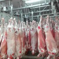 HALAL FRESH / FROZEN GOAT / LAMB / SHEEP MEAT / CARCASS