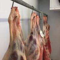 2022 Hot Sales HALAL FRESH FROZEN GOAT/ MUTTON MEAT/ LAMB MEAT CARCASS